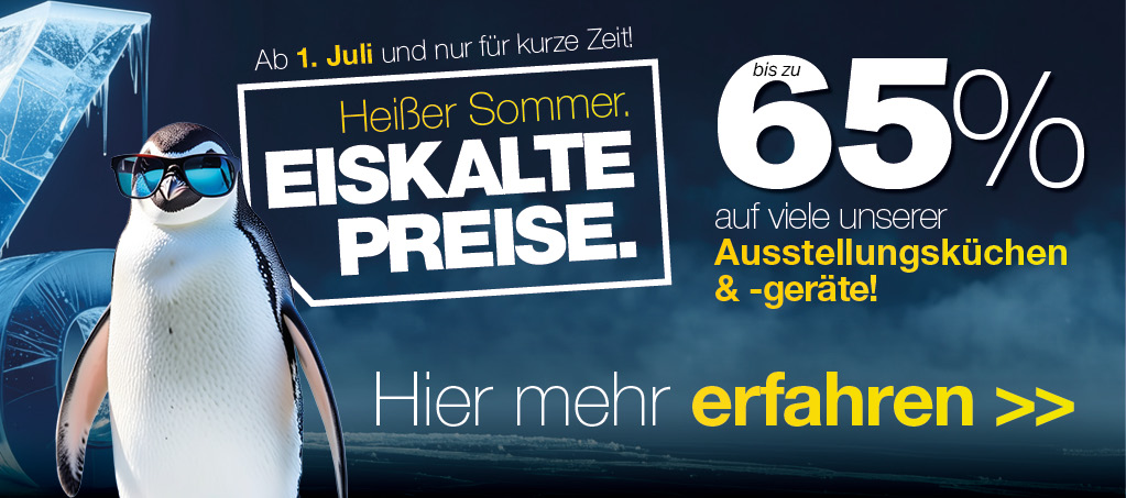 Eiskalte Preise - Die Abverkaufsküchen-Aktion
