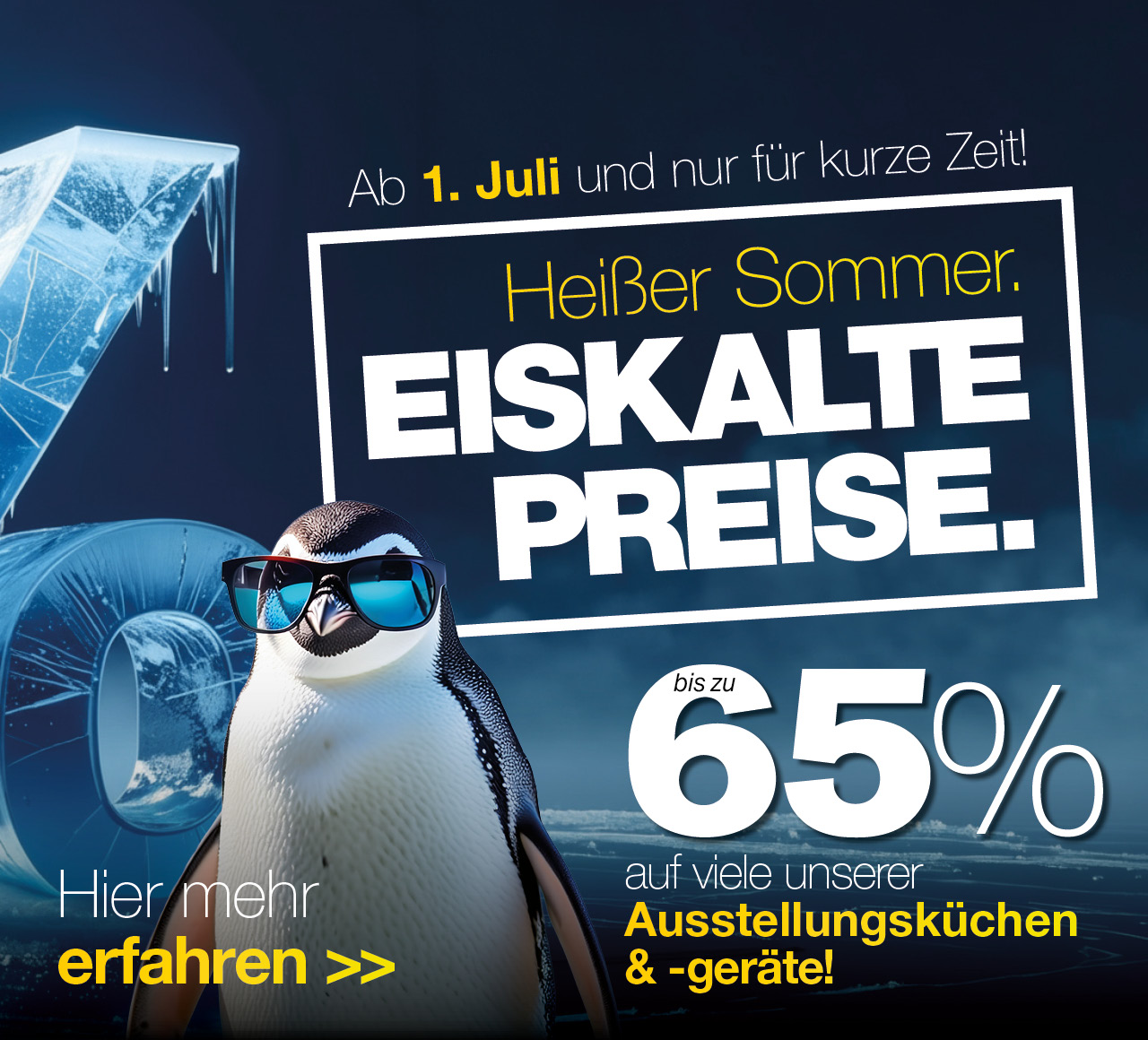Eiskalte Preise - Die Abverkaufsküchen-Aktion